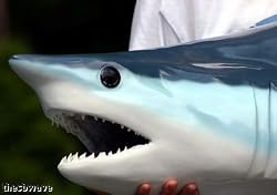 Giant Taxidermy Mako Shark Head Fiberglass Wall Mount