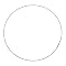 Ceiling Ring - 22"