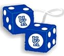 Kentucky Wildcats Fuzzy Dice