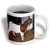 Farm Animals - Boer Doe Goat - Mugs