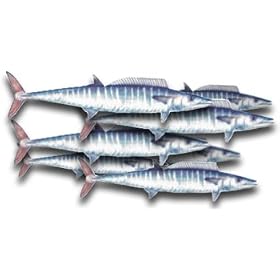 Wahoo Steaks, 1 Pound