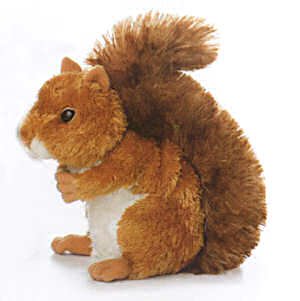Childrens Toyshop  Toys : Plush Nutsie Brown Squrriel 8"