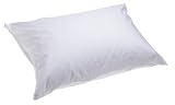 Aller Ease Cotton Allergen Barrier Queen Pillow Cover