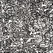 Cacophony
