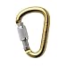 Petzl Attache Locking Carabiner Screw-Lock