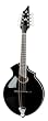 Breedlove Orca KO Master Class Mandolin, Made in U.S.A.