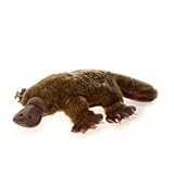 Return to product information