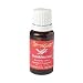 Frankincense Essential Oil Supplement by Young Living Essentials - 15 ml