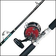SportingGoods: 113HLW Senator Reel  CS6640RST 6'6