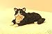   - Miniature Black and White Tuxedo Persian Cat