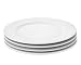 Williams-Sonoma WS Apilco Beaded Hemstitch Dinner Plates