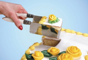 Childrens Toyshop  Kitchen & Housewares : Debbie Meyer's kake-kut'r®; For sheet cakes; Ivoire d'EleganceTM handle style