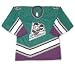 Kentucky Thoroughblades American Hockey League Jersey