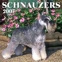 Schnauzers 2007 Wall Calendar