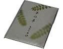 Yume no Yume Sticks Pack - Fern Citrus Green