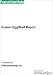 Book Kumon EggShell Report