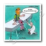 Londons Times Health and Vanity Trends Cartoons - Acid Reflex 60s Style - Iron on Heat Transfers