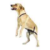 Hassle-free No Jump Harness