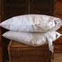 2 Crescent Moon Pillow Protectors - Organic Standard/Queen