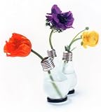 Produkt-Bild: Bl&uuml;hbirne - Gl&uuml;hbirnenvase