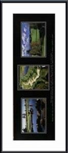 Attraction of Golf, The, Art Poster by Unknown Artist, with Metal Frame, poster size: 36