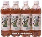 Diet Ginger Soda (Ale)