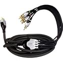 Wii Component A/V Cable