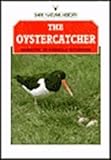 The oystercatcher