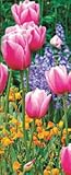 Color Burst Tulips Bookmark
