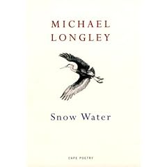 Snow Water