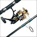 Sporting Goods : 850SSm Spinfisher Spinning Reel--CP12S 12' 20-40lb. 2-Piece Custom Surf Series Rod Combo
