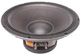 Selenium 18SWS1100 18 1100W Subwoofer