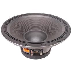 Selenium 18SWS1100 18" 1100W Subwoofer