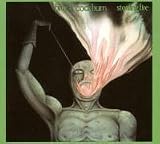 Stealing Fire (Deluxe Edition) (IMPORT)