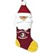 Florida State Seminoles NCAA Santa Holiday Stocking (22
