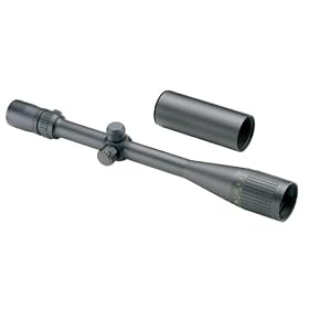Click here to buy Bushnell Elite 4200 6-24x40 Riflescope w Dot Reticle by Bushnell.