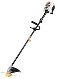 Ryobi 17-Inch 31cc Gas-Powered String Trimmer with TrimmerPlus System and Straight Shaft 775R