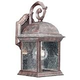 11-1/2-Inch Outdoor Wall Light