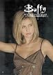 Buffy the Vampire Slayer - Gellar - 27x39 Poster