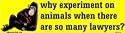 Why experiment on animals when there are so many lawyers? bumper sticker