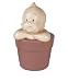 Nao From A Flowerpot?