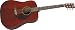 Rogue Honduran Mahogany Dreadnought, Natural