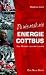 Da wie noch nie: Energie Cottbus - Das Wunder aus der Lausitz L=0: my-fan-page.de