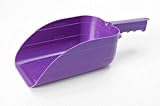 Feed Scoop, 5 Pt Purple