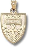 Harvard Public Health Sch Shield Charm/Pendant -14K/10K, Stainless Steel or Gold Plated
