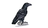 Eigenschaften Schleich 14241 / Schleich 14241 - Kolkrabe