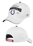 Indianapolis Colts 2007 Official Division Champion Cap