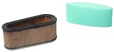 Briggs & Stratton Air Filter Cartridge/Pre-Cleaner 12.5 - 17 HP 5053H