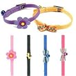 Coastal Pet Sassy Decorative Nylon Cat Safety Collar (Daisy Lilac, 10 Inch L x 3/8 Inch W)