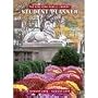 New York Public Library 2009 Student Planner